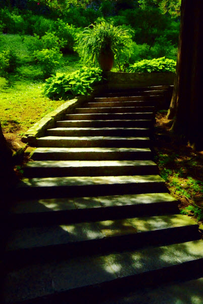 Taranta Gardens #33